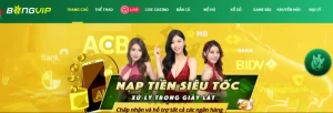 Giới thiệu bongvip thành viên đại lý hoa hồng cao