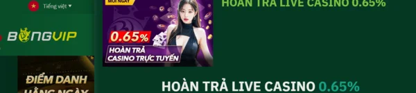 Live Casino bongvip hấp dẫn và nhiều phần quà hấp dẫn