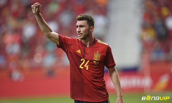 Hậu vệ hay nhất Euro - Aymeric Laporte