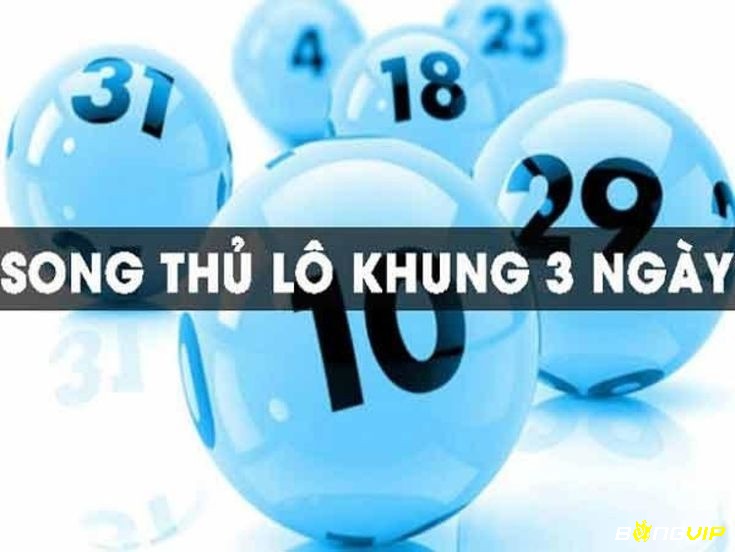 Nuôi STL khung 3 ngày vừa an toàn vừa đem về tiền thưởng giá trị