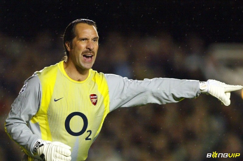 David Seaman chính là thủ môn hay nhất Arsenal từng có trong lịch sử