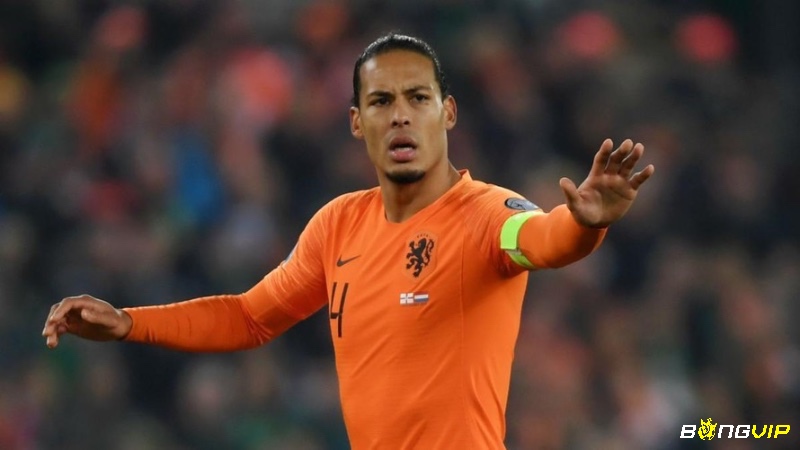 Van Dijk cũng xuất sắc góp mặt vào danh sách các hậu vệ hay nhất C2