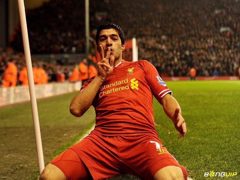 Tiền đạo hay nhất Liverpool Luis Suarez có thành tích đáng nể trong sự nghiệp