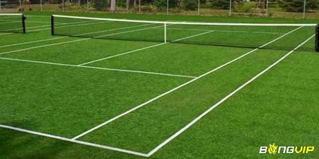 Sân cỏ là một trong các loại mặt sân tennis phù hợp cho những người giao bóng mạnh