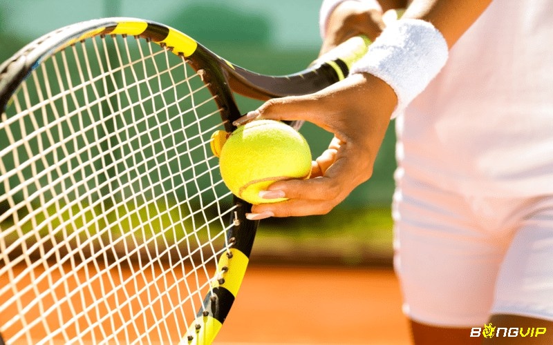 Tennis là một môn thể thaogày càng trở nên phổ biến được nhiều người yêu thích