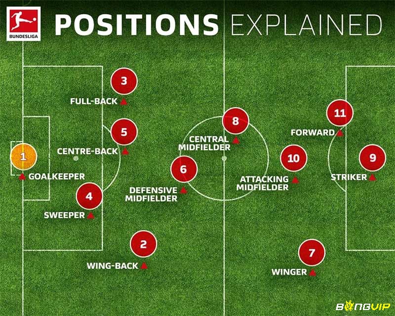Khám phá các vị trí trong bóng đá phổ biến bậc nhất hiện nay 