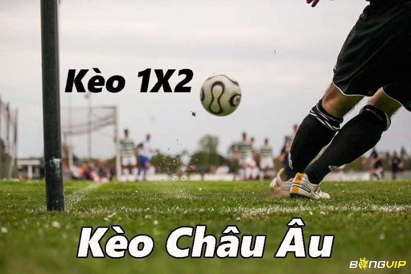 Đặt cược kèo cơ hội kép dựa vào kèo Châu Âu để tăng khả năng thắng 