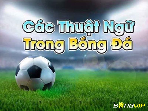 Cùng bongvip tìm hiểu về các thuật ngữ cá độ bóng đá nhé 