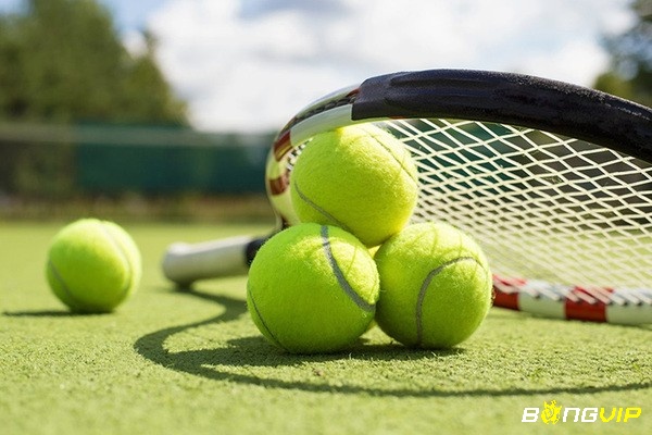 Tennis hay còn gọi là quần vợt là môn thể thao thu hút đông đảo người hâm mộ quan tâm