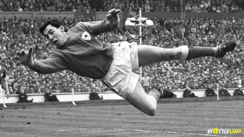 Tiểu sử Gordon Banks cùng Leicester City giành chức vô địch League Cup năm 1964