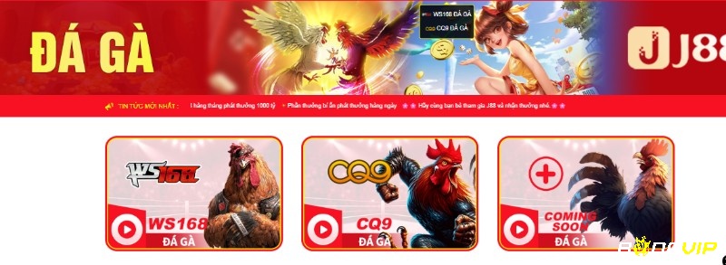 Trải nghiệm dân gian đặc sắc qua game đá gà trực tuyến