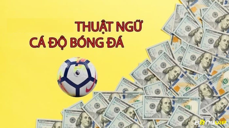 Những thuật ngữ anh em nên biết trong kèo bóng đá châu Á