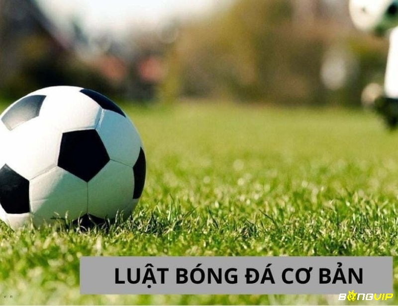 Cùng bongvip tìm hiểu về luật bóng đá nhé 