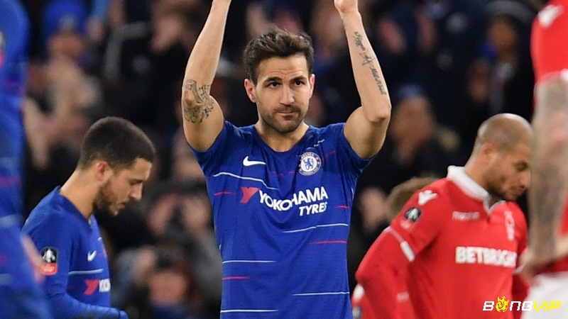 Cesc Fàbregas đã mang về những bàn thắng cực đẹp mắt cho đội nhà